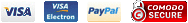 Pago Seguro
