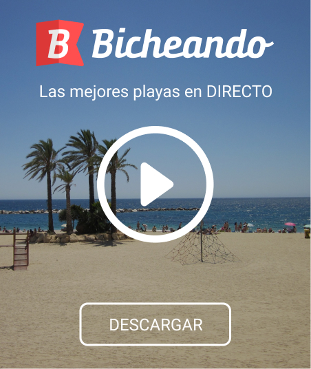 Descubre la App Bicheando Almería