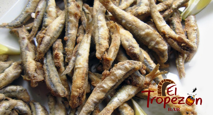 Disfruta del mejor pescaíto frito y tomate Raf de Almería con vino o cervezas y tapas en El Tropezón