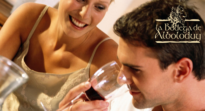 Visita guiada, cata, maridaje y botella de vino en La Bodega de Alboloduy para 2 personas por 10€