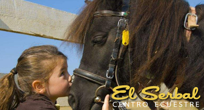 Aprende a montar a Caballo, Clase de Equitación por sólo 9€ para adultos y niños