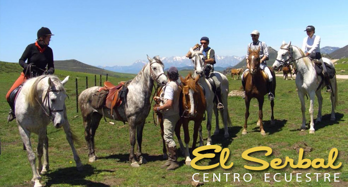 Disfruta de un magnífico paseo a Caballo desde 9€/h, una experiencia única!!!!