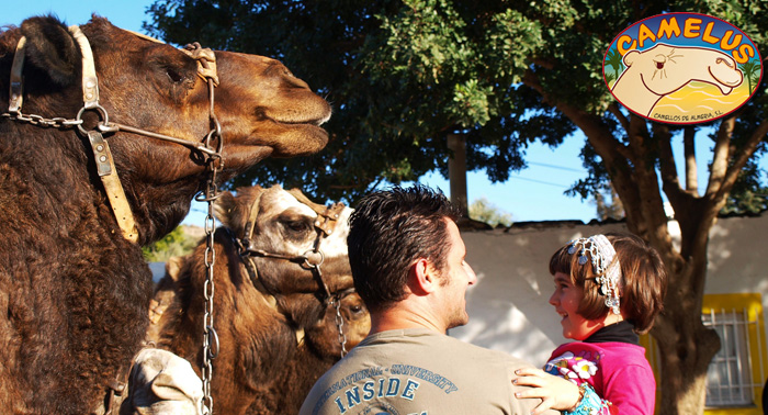 ¡La Búsqueda del Tesoro de los Camellos! Desayuno, visita a la granja, paseo a camello...