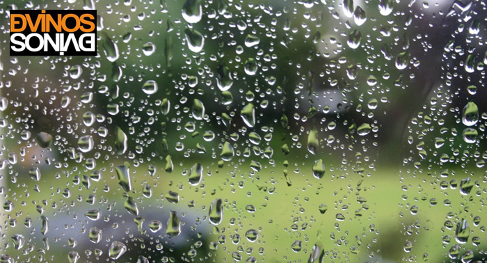 ¿Si LLUEVE qué comemos? Migas con tocino, pimientos, huevos y bebidas para 2 per. en Dvinos