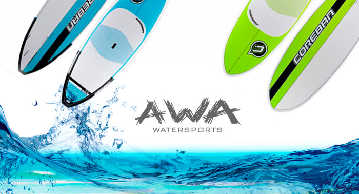 Curso de paddle surf o Alquiler de una tabla por horas ¡a navegar por las aguas!