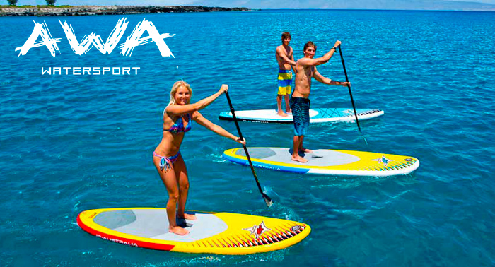 Curso de paddle surf o Alquiler de una tabla por horas ¡a navegar por las aguas!