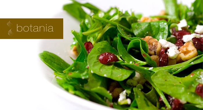 Menú Gourmet para 2 personas: Entrante y dos platos + 4 Bebidas y Postre en Botania