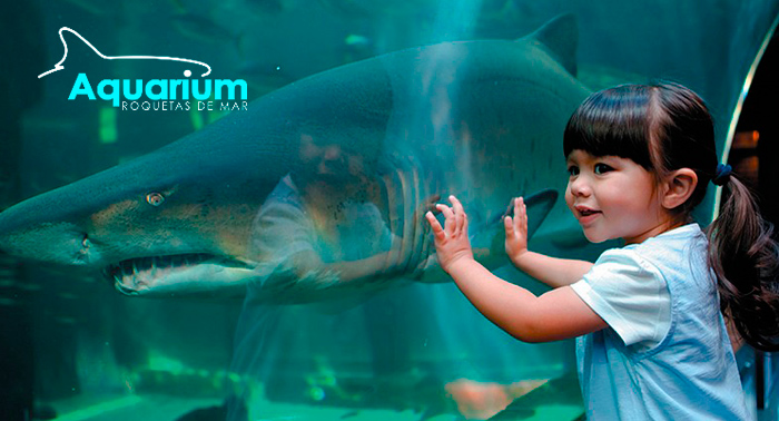 IMPRESIONANTE!!! Ven a disfrutar del Aquarium de Roquetas de Mar desde sólo 6.60€
