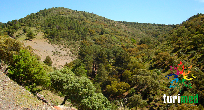 Descubre el Parque Natural de Despeñaperros con esta Ruta de Senderismo desde sólo 5€