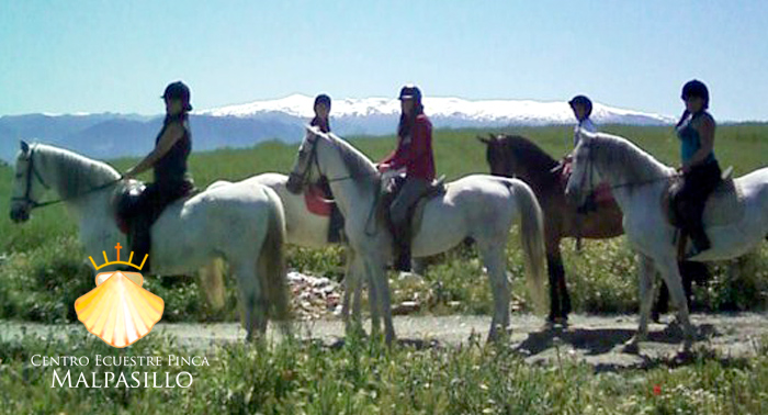 Esta Navidad regala una magnífica ruta a Caballo por sólo 7.50€, una experiencia única!!
