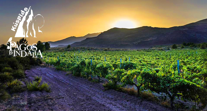 Ruta + Visita didáctica a Viñas y Bodega + Cata y Migas.La Alpujarra Almeriense en puro estado!