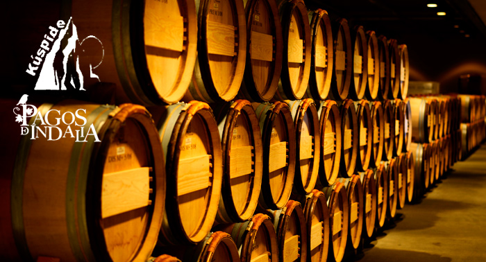 Ruta + Visita didáctica a Viñas y Bodega + Cata y Migas.La Alpujarra Almeriense en puro estado!