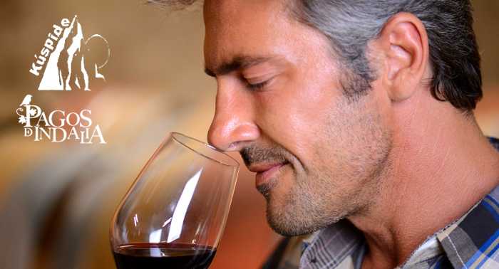 Ruta + Visita didáctica a Viñas y Bodega + Cata y Migas.La Alpujarra Almeriense en puro estado!