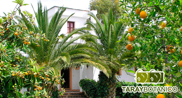 Escapada a Órgiva en la Alpujarra con desayuno para 2 personas en Hotel Taray Botánico