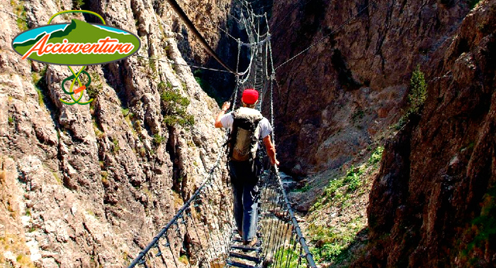 Disfruta 1 día de multiaventura: Tiro con arco, escalada en rocodromo, puente tibetano y rapel