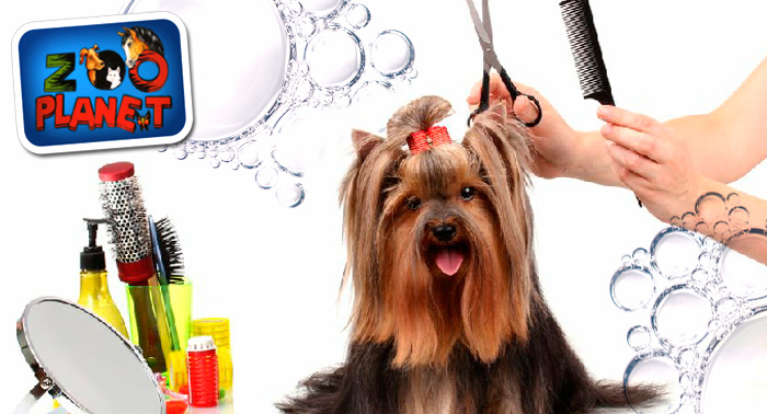 Peluquería canina: baño antiparasitario o champú, retoque de pelo, limpieza de boca, orejas