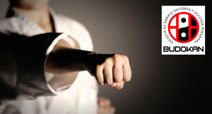 Iníciate o inícialos en un Arte Marcial: 2 ó 3 meses Karate Infantil, Adulto y Defensa Personal