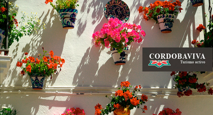 ¡Concurso los patios de Córdoba! Ruta guiada por los patios de Córdoba