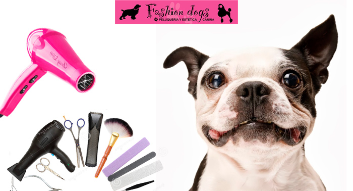 Sesión de Peluquería canina: baño antiparasitario,corte, limpieza de boca, orejas y glándulas