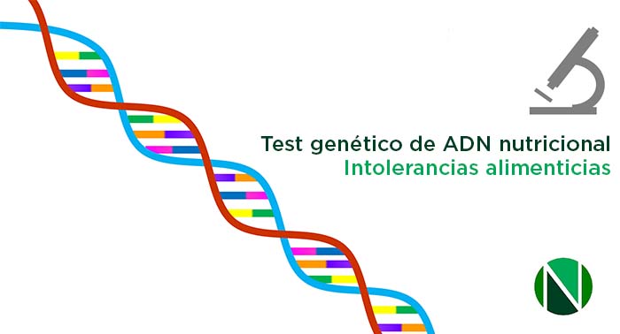 Test Genético ADN Nutricional + Intolerancias alimentarias o Test por Análisis de Sangre