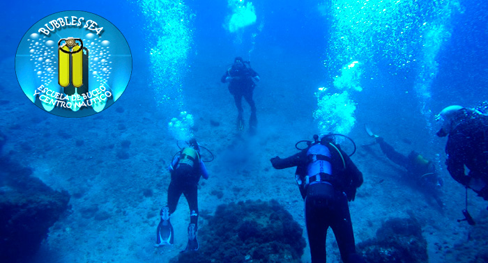 ¡Descubre el Fondo Marino de la Costa Tropical! Bautismo de Buceo con Bubbles Sea, Torrenueva!