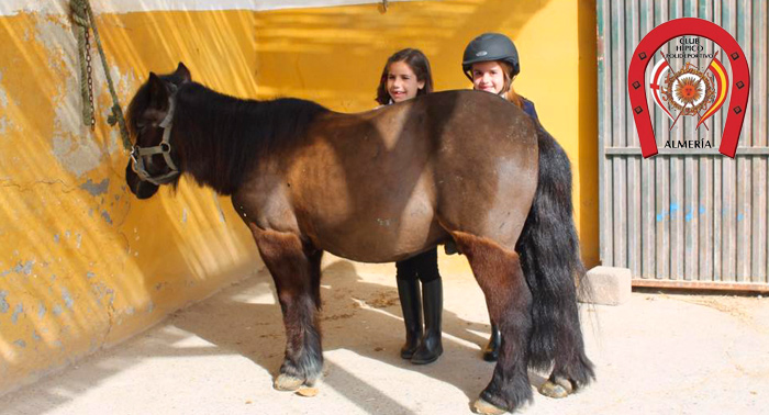 Este Verano regala o disfruta de una clase de Equitación, una experiencia única!!!!