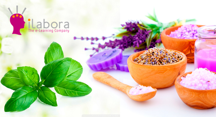 Curso de Cosmética Natural ó de Plantas Medicinales. ¡Saca provecho a tu formación!