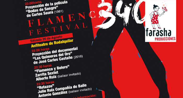 Música, Patrimonio, Cultura y Duende: Ven al Festival Flamenco 340