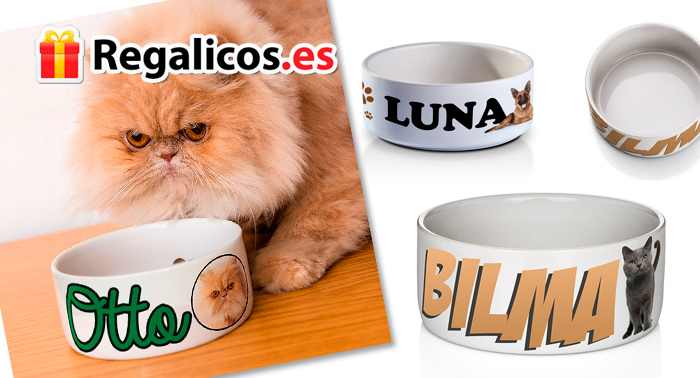 ¡Consigue un montón de artículos para tu hogar personalizados con tus fotos favoritas!