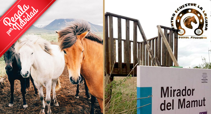 Ruta del Mamut a pie + Ruta del Tigre Diente de Sable a caballo + Sesión Fotográfica