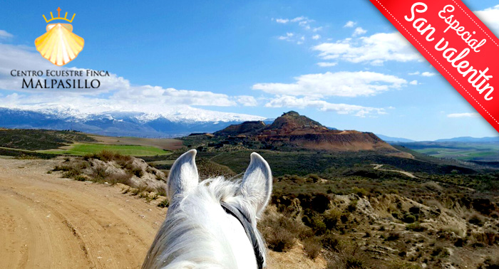 Disfruta de una magnífica ruta a Caballo por sólo 7.50€ ¡¡Una experiencia única!!