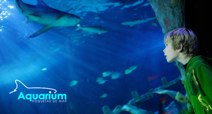 Diversión para toda la familia descubriendo el fondo marino en el Aquarium de Roquetas