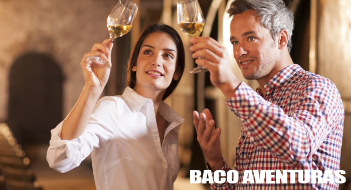 ¡Un plan romántico diferente! Paseo a Caballo en pareja y/o Curso de Degustación de Vinos