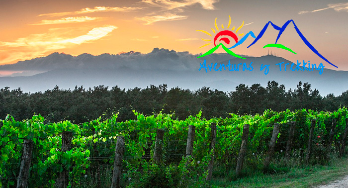 Completísima ruta de senderismo por la Alpujarra Almeriense, con visita a bodega y picoteo