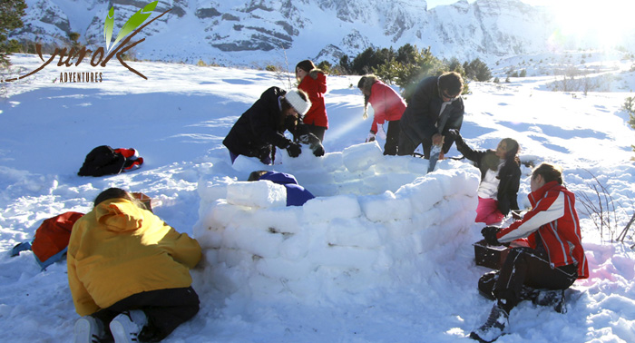 Construcción de Iglús + Raquetas de Nieve ¡Disfruta de Sierra Nevada de una forma diferente!