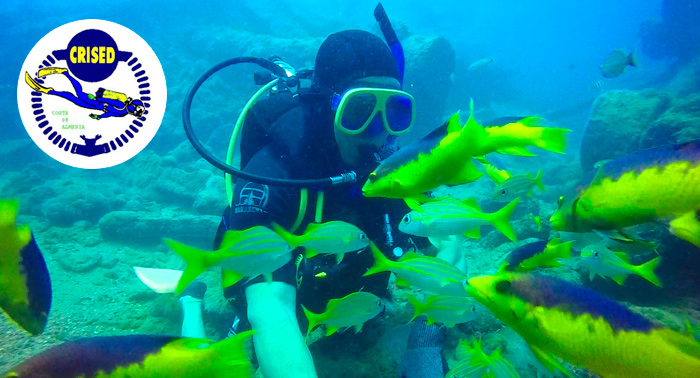 ¡Descubre el fondo del mar! Bautismo de Buceo para 1, 2 o 4 personas