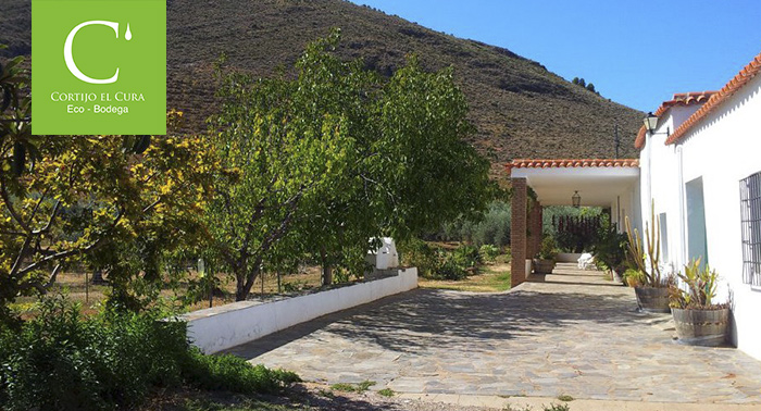 Visita la Finca e instalaciones y Cata de Vino en Bodega Cortijo El Cura por 10.20€