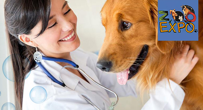 Peluquería canina: baño antiparasitario o champú, limpieza de orejas... con opción a vacuna 