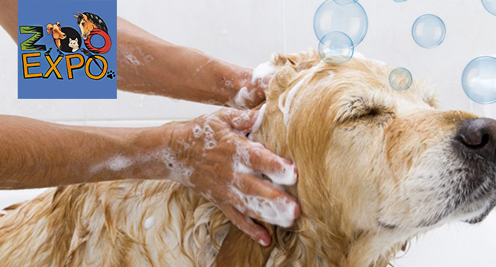 Peluquería canina: baño antiparasitario o champú, limpieza de orejas... con opción a vacuna 