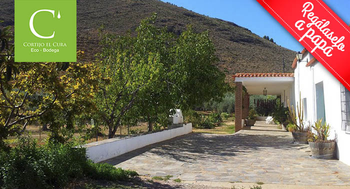 Visita la Finca e instalaciones + Cata de Vinos + Degustación en Bodega Cortijo El Cura 