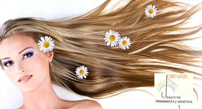 Presume de cabello sano: Tratamiento orgánico y esencias naturales + masaje craneal