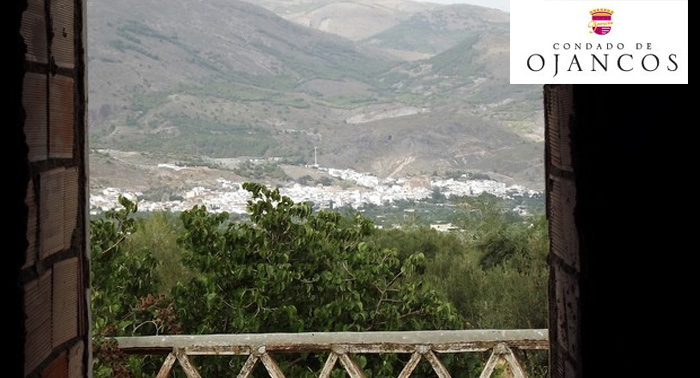 Visita bodega Condado de Ojancos + Cata de 4 vinos + Asado Argentino