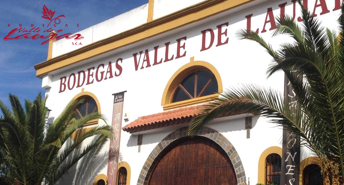 Disfruta de una experiencia enológica: Visita Bodegas Valle Laujar + cata 7 vinos + Maridaje