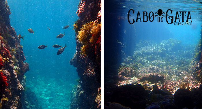 ¡Una aventura bajo el mar! Búsqueda del Tesoro Submarina con Snorkel en Cabo de Gata-Níjar
