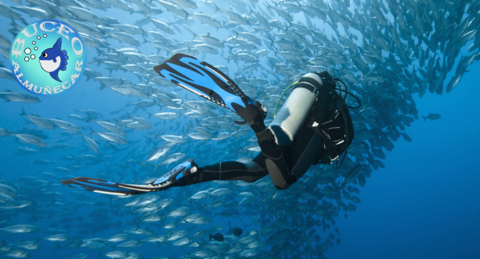 ¡Descubre los secretos del fondo del mar! Bautismo de Buceo en la Costa de Almuñécar