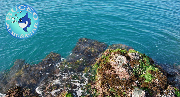 Descubre los secretos del fondo del mar: Bautismo de Buceo en la Costa de Almuñécar