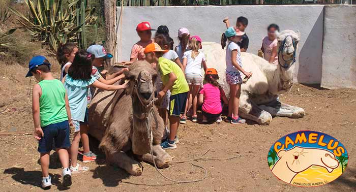 Pasea a camello con tus hijos y diviértete en La Granja... ¡un plan para niños y papás!