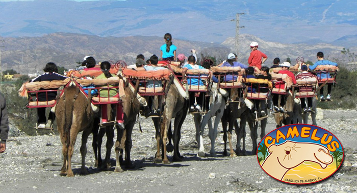 Pasea a camello con tus hijos y diviértete en La Granja... ¡un plan para niños y papás!