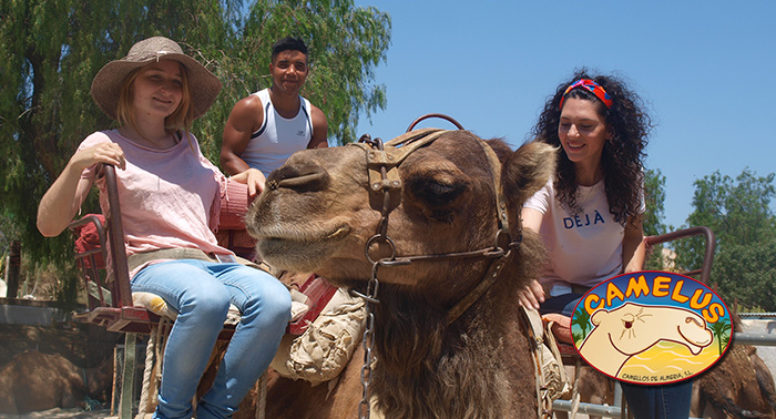 Paseo a camello, diversión en la granja y visita cultural: el origen de la capital, Bayyana