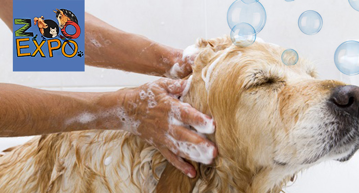¡Cuida y mima a tu mascota con esta completa sesión de peluquería canina!